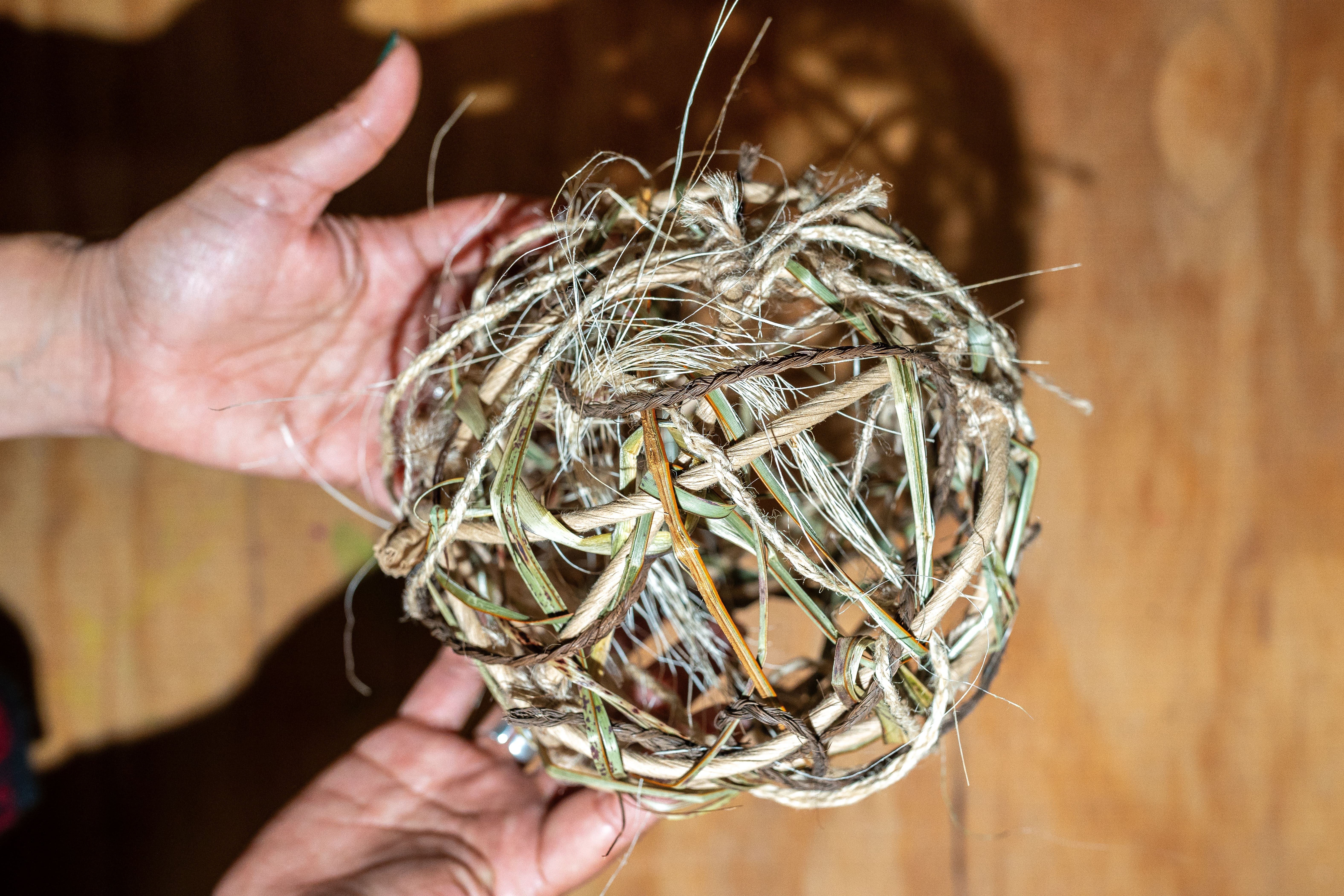 20250901 DSC04353 min