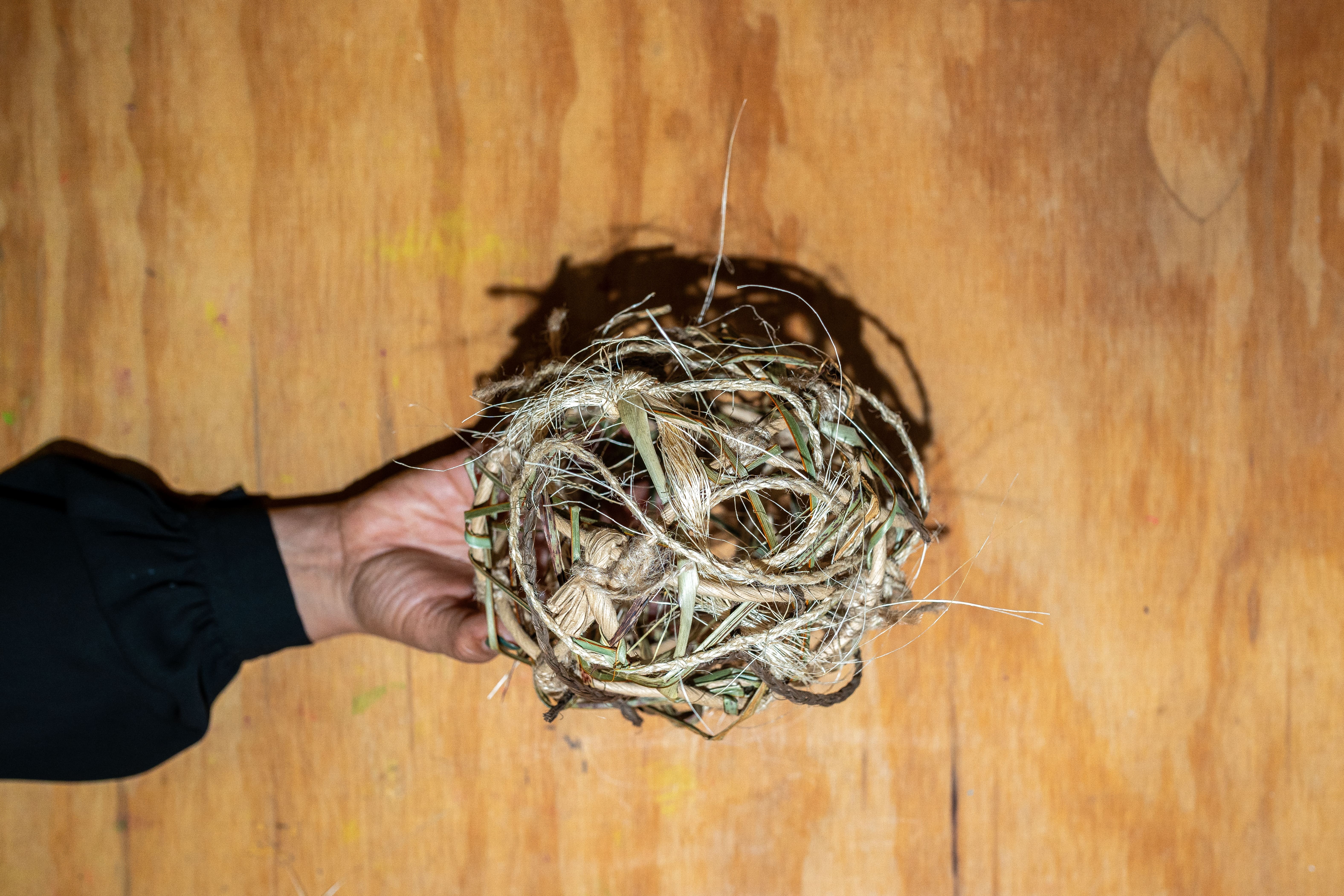 20250901 DSC04355 min