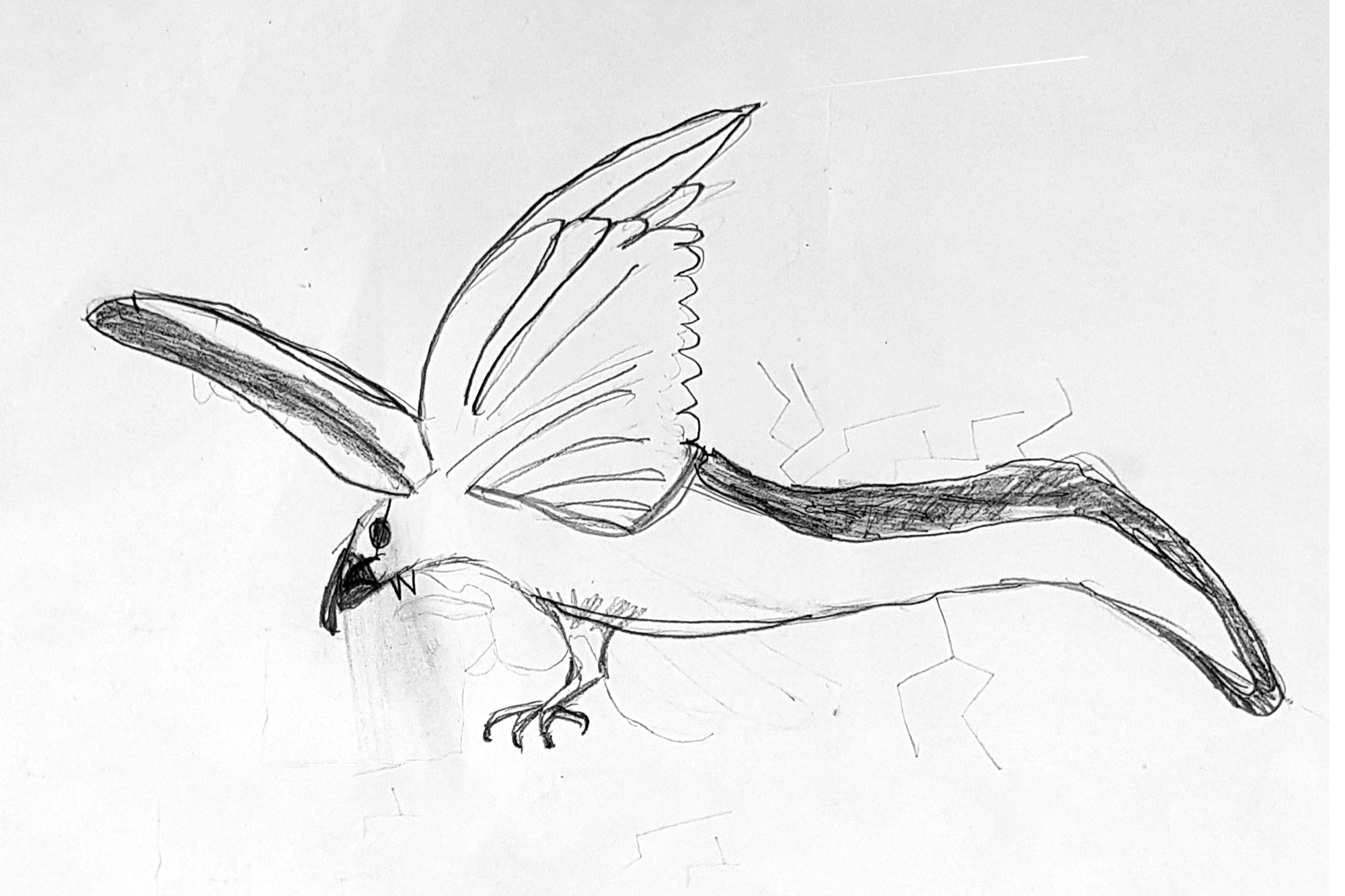 Website taniwha drawing