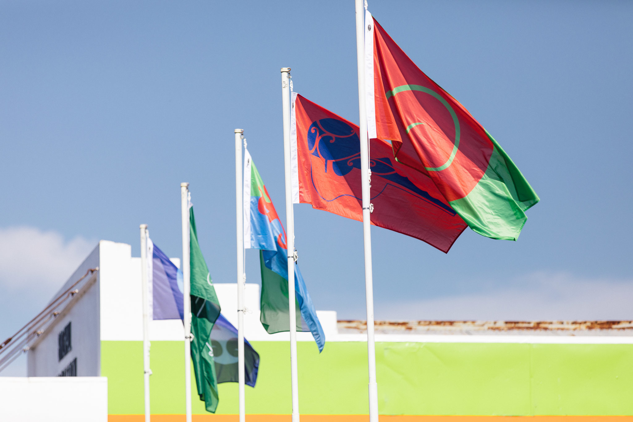 ĀKAU Flags SELECTS WEB 5241 2