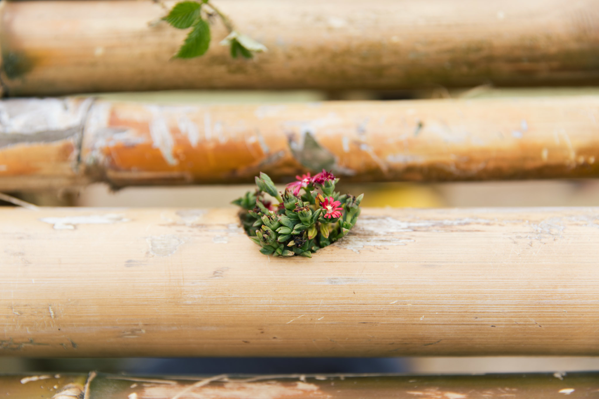 TE RERE O TIRIA DEC2019 WEB 1945